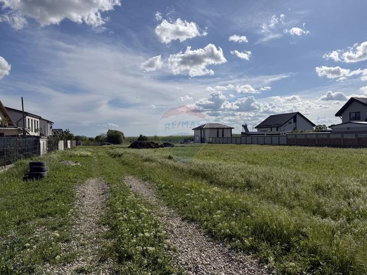 Teren agricol intravilan de 417 mp, în Berceni