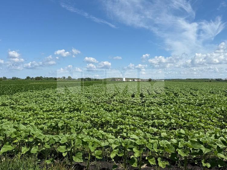 Teren agricol extravilan de 4000 mp, în Central