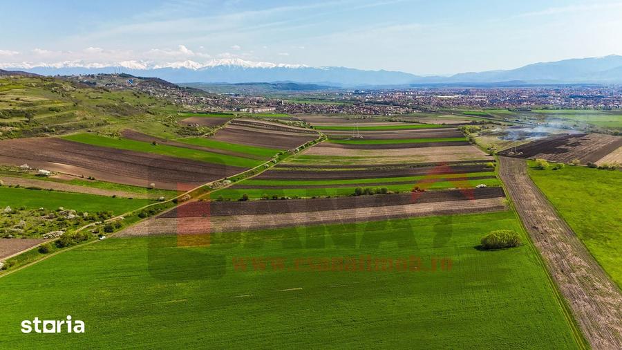 Teren de 3000 mp, în Gușterița