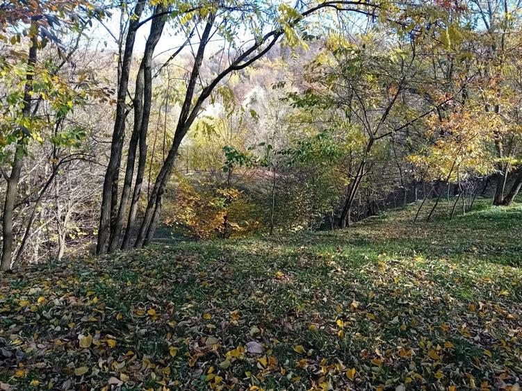 Teren de 1000 mp, în Brebu