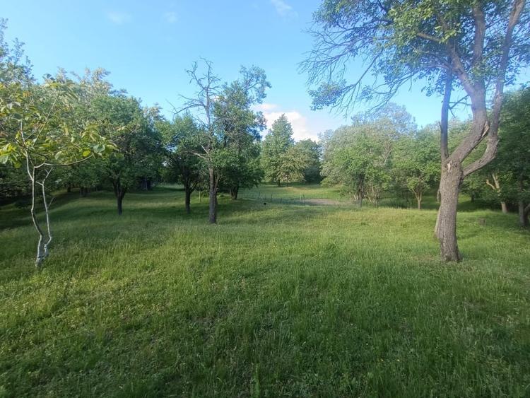Casă individuală cu 5 camere cu Canalizare în Oarda