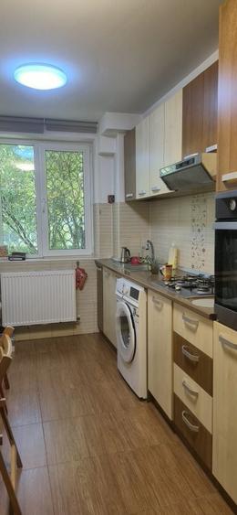 Apartament cu 4 camere semidecomandat în Brotăcei