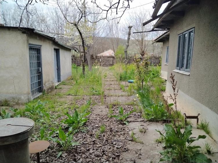 Teren de 1801 mp, în Ijdileni