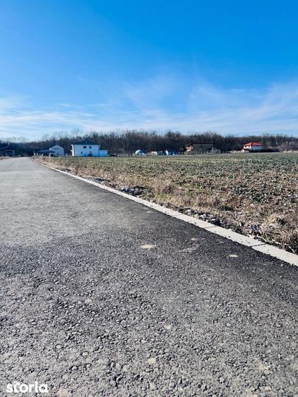 Teren de 1600 mp, în Snagov