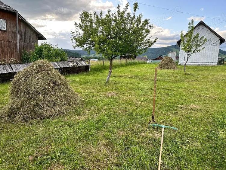 Casă cu Teren 3536 Mp în Coșna