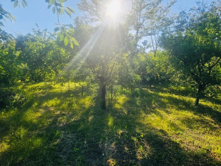 Casă cu 4 camere în Florești