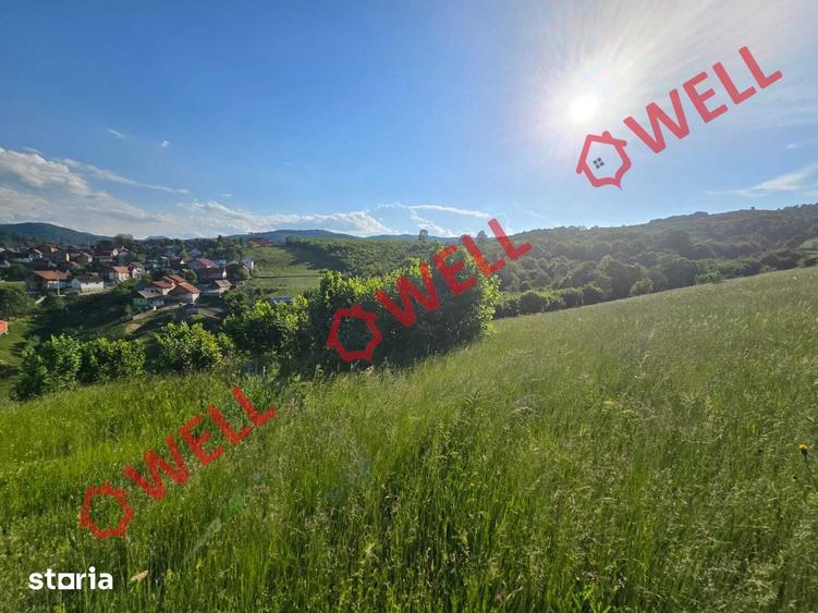 Teren de 8163 mp, în Vama Buzăului