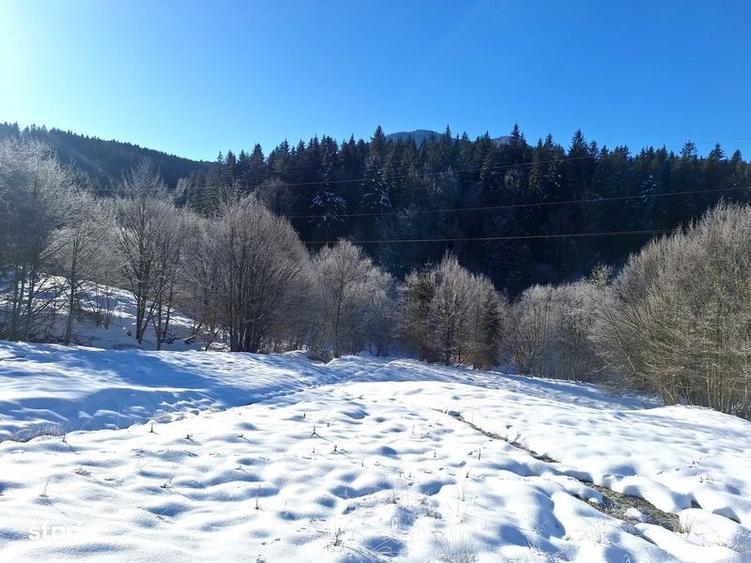 Teren de 8700 mp, în Tărlungeni