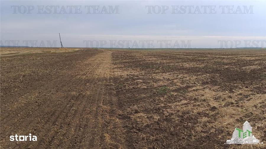 Teren de 81906 mp, în Petrăchioaia