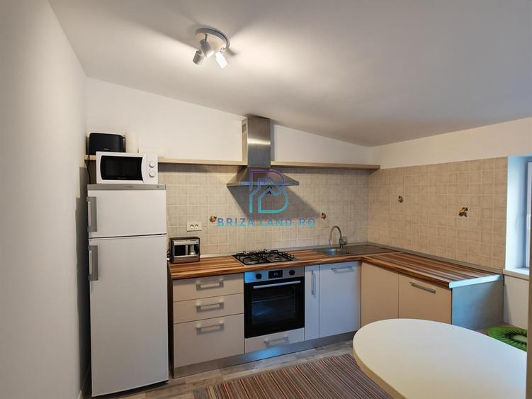 Ion Mihalache, Chibrit, casa 2 corpuri, 6 camere, 2 bai, teren 280.5mp - 21