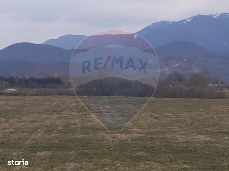 Spațiu comercial, în Pănicel