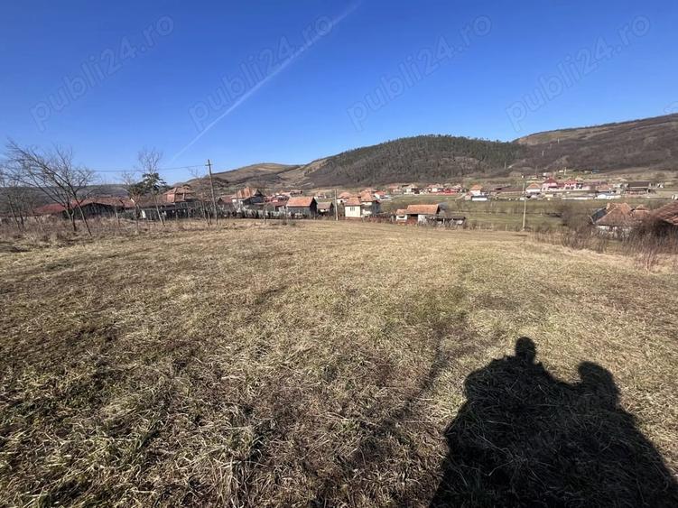 Teren intravilan de vanzare - 2