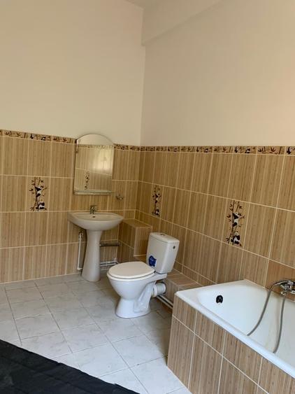 Casă individuală cu 15 camere cu Canalizare în Theodor Pallady