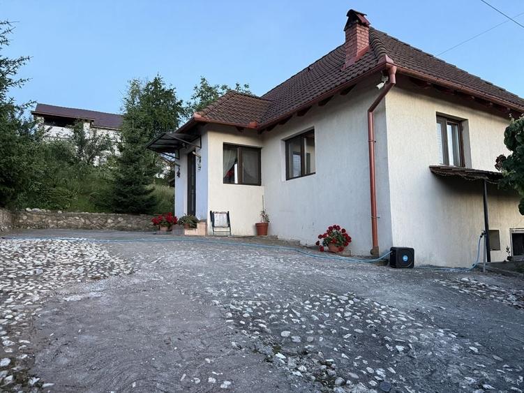 Vand casa Sura Mare - 6