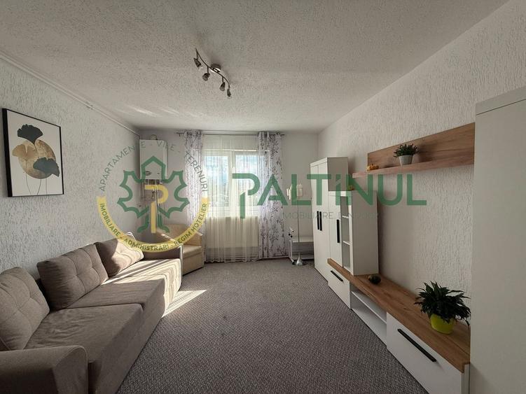 Garsoniera de inchiriat etaj 3 Lazaret- zona Compa - 5