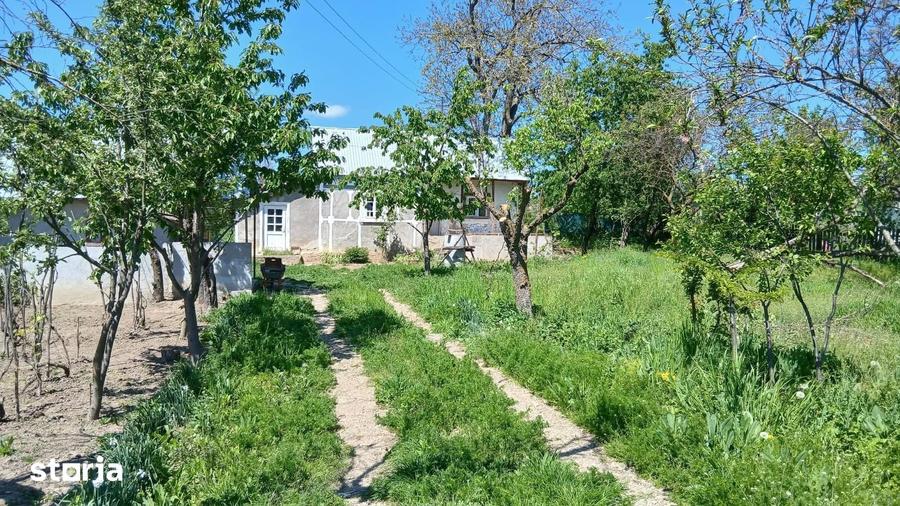 De vanzare casa ?i teren cu o suprafata de 5914 mp, 25.000 euro - 9