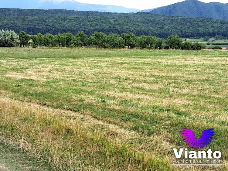 Teren agricol extravilan de 6200 mp, în Rășinari