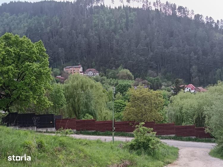 Teren de 850 mp, în Turcheș