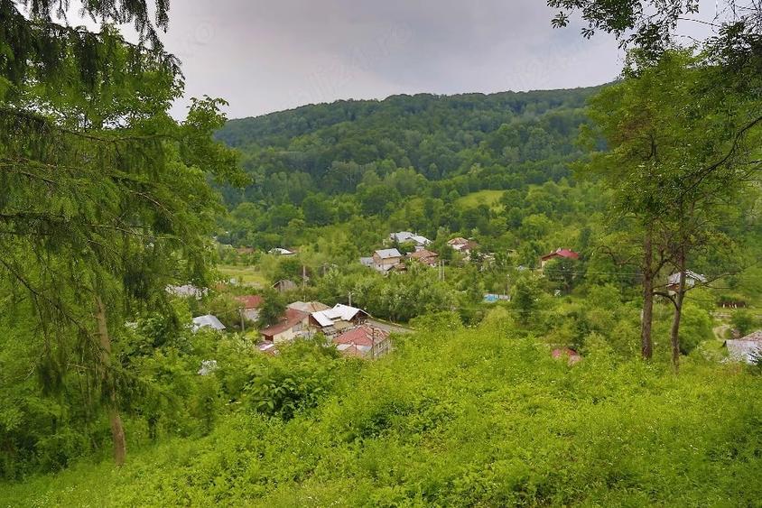Teren de 2700 mp, în Telega