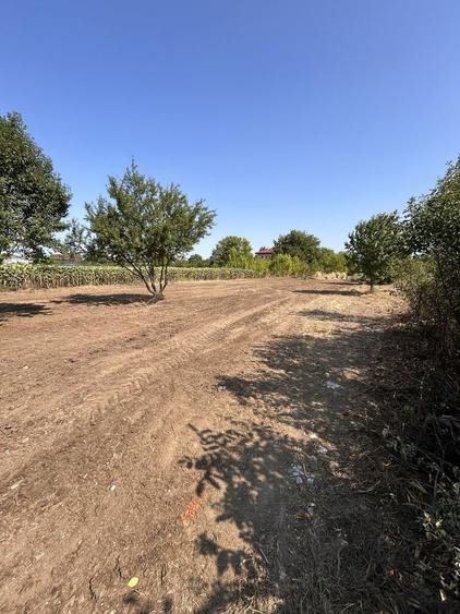 Vand teren Ciofliceni Snagov - 1