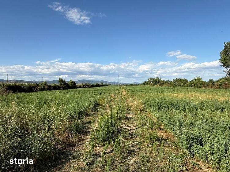 Casă cu 4 camere cu Teren 180 Mp în Central
