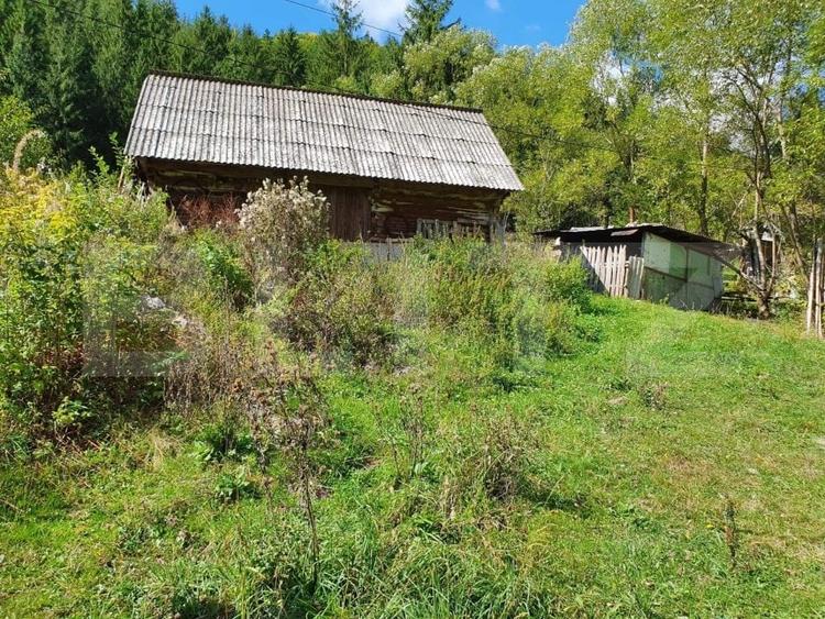 Teren Construcții intravilan de 3015 mp, în Arieșeni