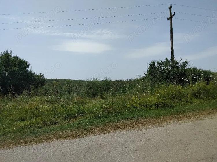 Teren de 40000 mp, în Murani