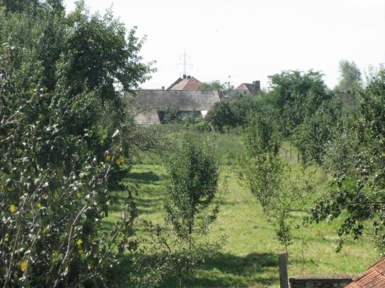 Teren intravilan de 4400 mp, în Prejmer