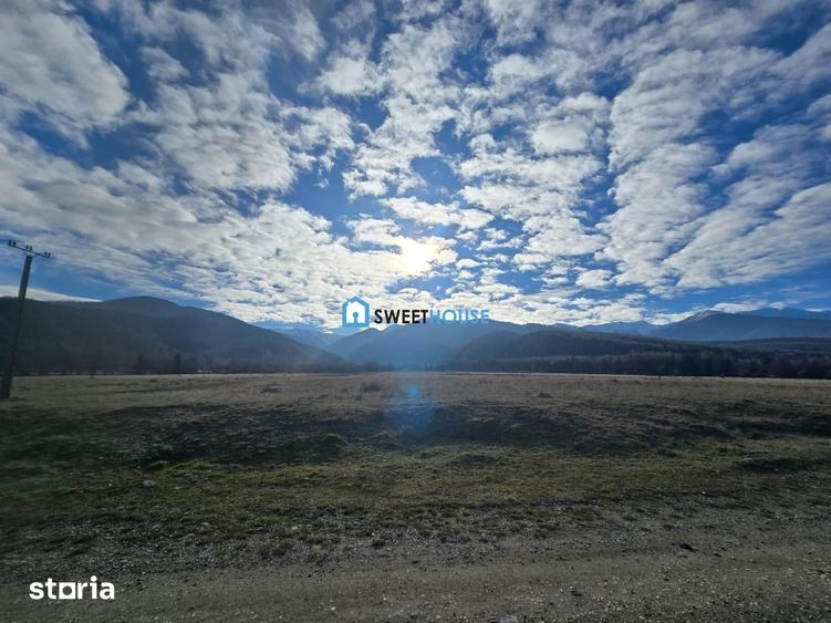 Teren de 22790 mp, în Recea