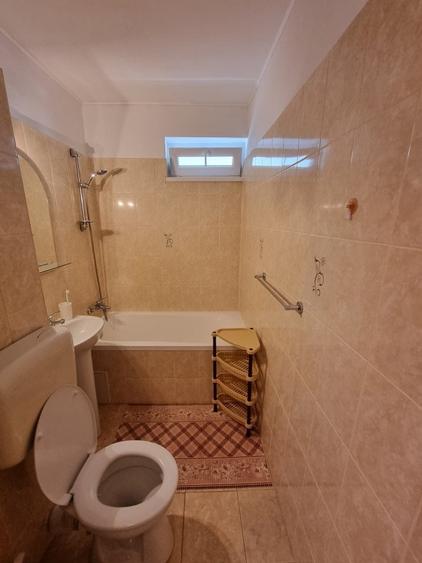 Apartament cu 2 camere de inchiriat in zona Favorit / Drumul Taberei - 7