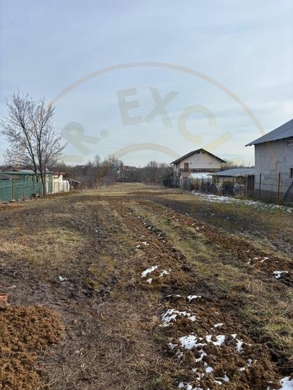 Teren Construcții intravilan de 3054 mp, în Smeura