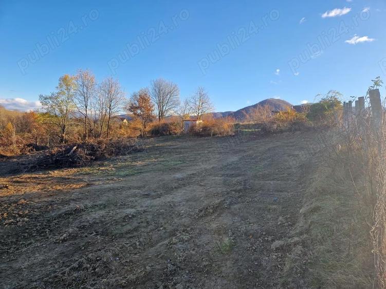 Teren de 1000 mp, în Cisnădioara