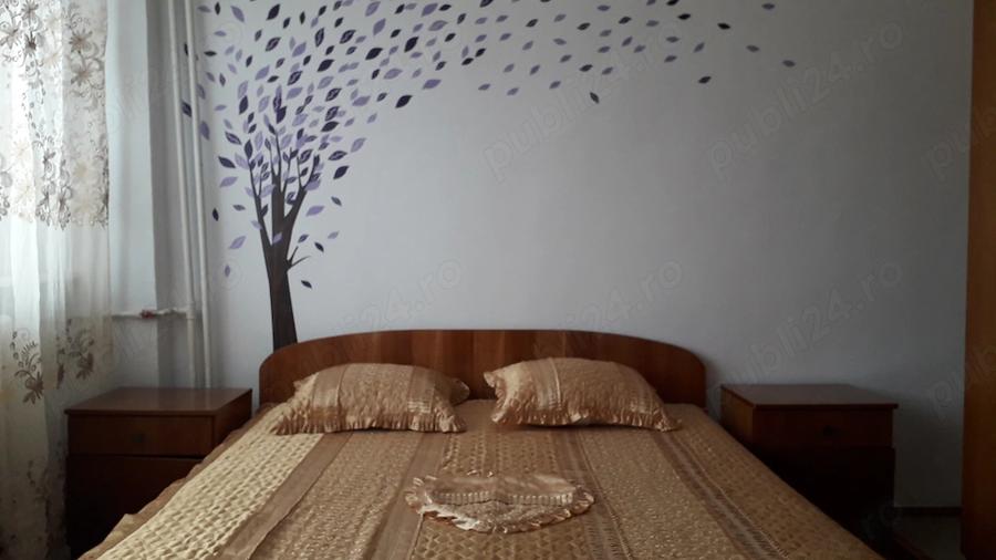 Apartament cu 2 camere decomandat în Olteniței