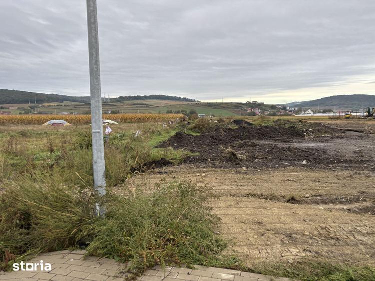 Teren intravilan, 7.000 mp, Str. Eden, Tg. Mure? - Exclusivitate - 6