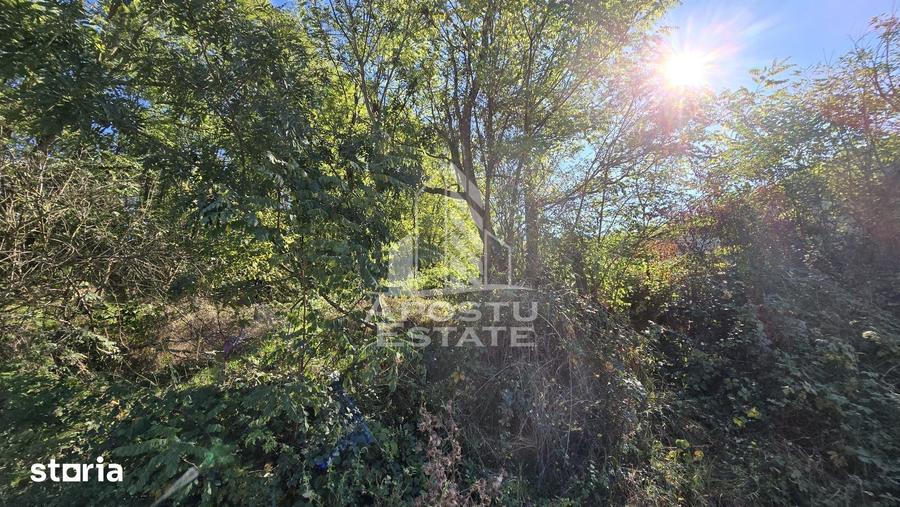 Teren de 3260 mp, în Buteni