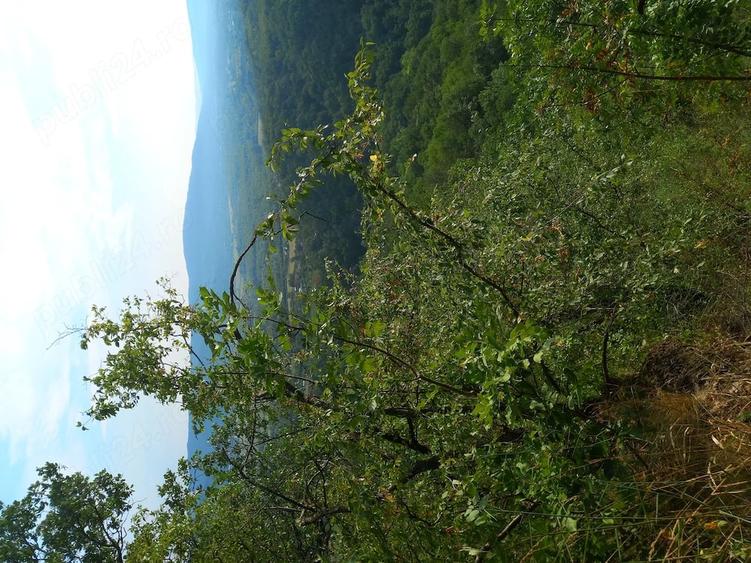 Teren de 27000 mp, în Mănăstirea