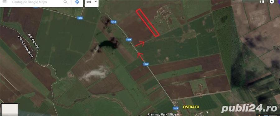 Vand Teren intravilan Balotesti- Ostratu 8814 mp - 3