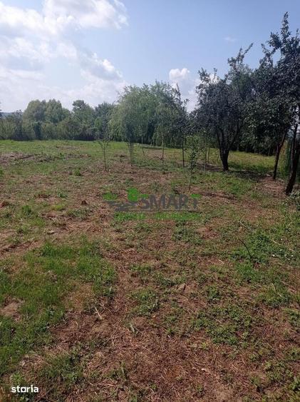 Casă cu 3 camere în Central