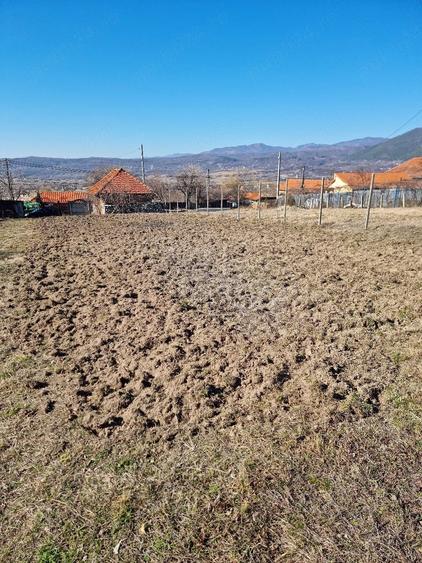 Teren de 6500 mp, în Central