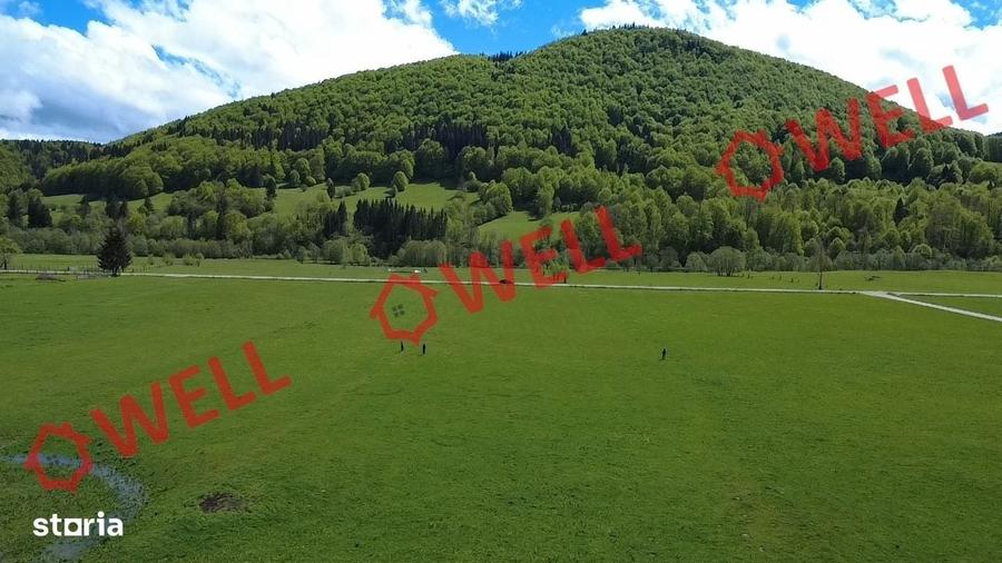 Spațiu comercial, în Vama Buzăului