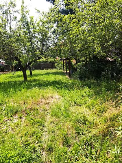 Casă cu Teren 3780 Mp în Hulubești