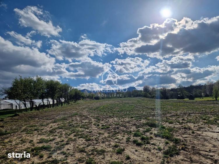 Teren de 19356 mp, în Ocna Șugatag