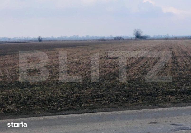 Teren de 30000 mp, în Bod