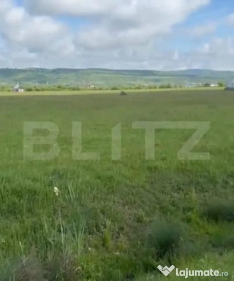 Teren de 12000 mp, în Unirea
