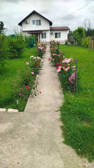 Casă cu 4 camere în Mânăstioara