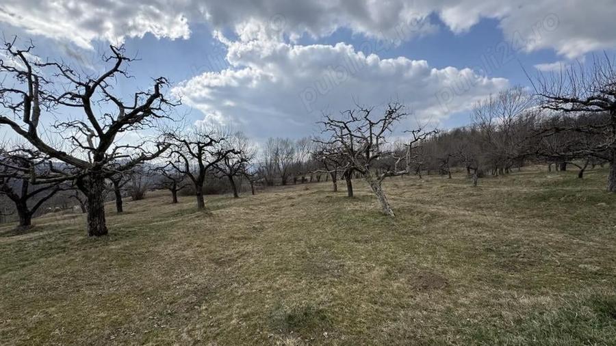 Teren în Micloșanii Mici