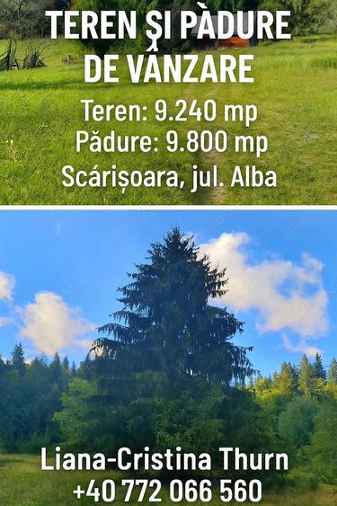 Teren de 9280 mp, în Scărișoara