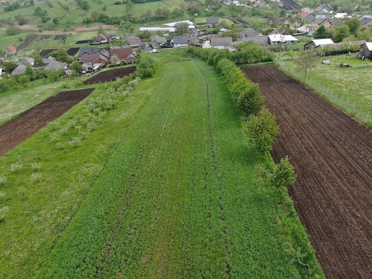 Teren de 50000 mp, în Bălțătești