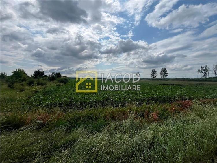 Teren Construcții intravilan de 8333 mp, în Secuienii Noi