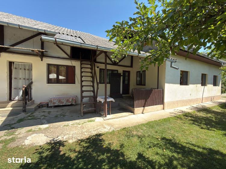 DE VANZARE GOSPODARIE CU POTEN?IAL IN BRANE?TI, DAMBOVI?A - 1